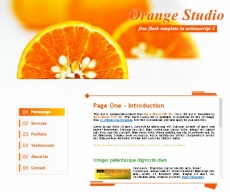 橙子片网站模板flash动画素材