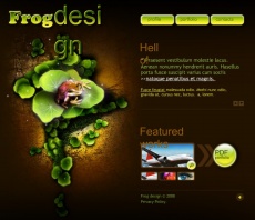 青蛙设计flash网页动画模板