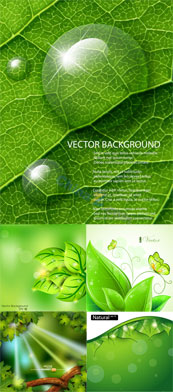 绿色植物设计矢量素材下载