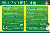 H7N7禽流感预防指南矢量展板