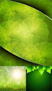 绿色植物背景矢量图