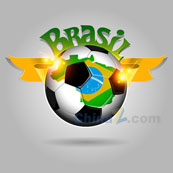 2014巴西世界杯足球赛