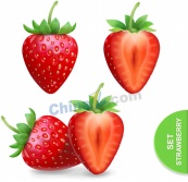 新鲜红草莓矢量素材