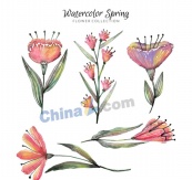 水彩绘春季花卉矢量素材