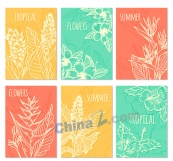 创意白色夏季热带植物卡片矢量