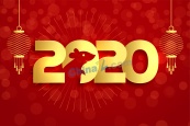 2020年鼠年春节数字设计