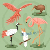 手绘鸟类动物插画设计