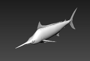 金枪鱼3D模型设计