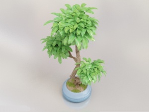 绿色植物模型3D设计