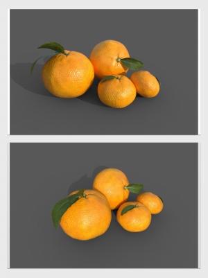 水果橘子3D模型