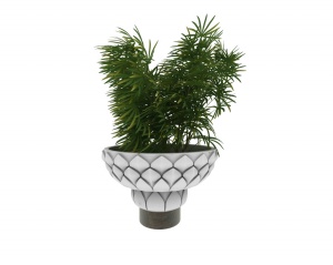 绿色植物盆栽3D模型