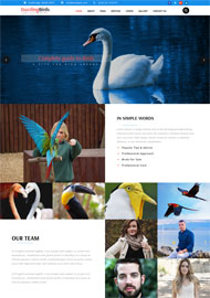 白天鹅动物园网站模板