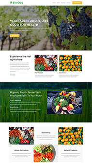 水果葡萄庄园网站模板