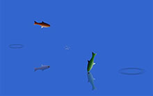 CSS3 SVG跳跃鲤鱼动画特效