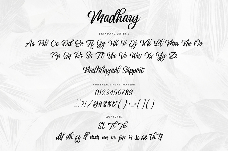 Madhary 6