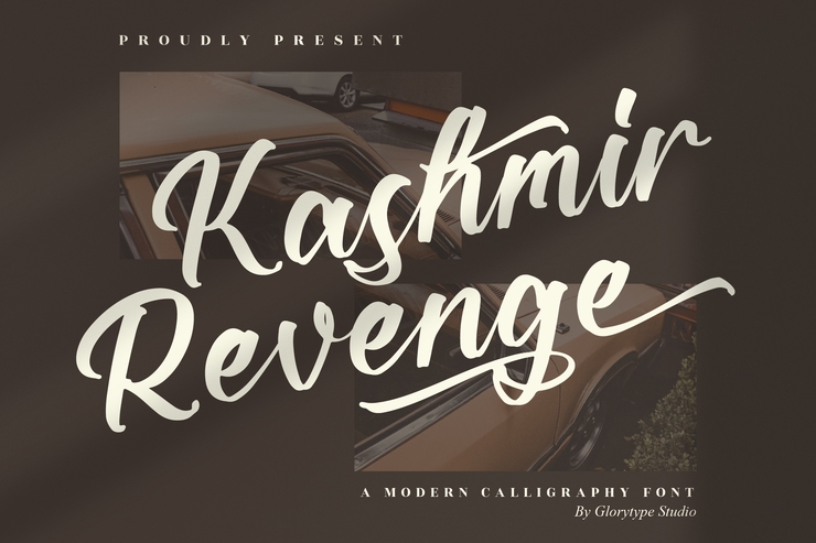 Kashmir Revenge 1