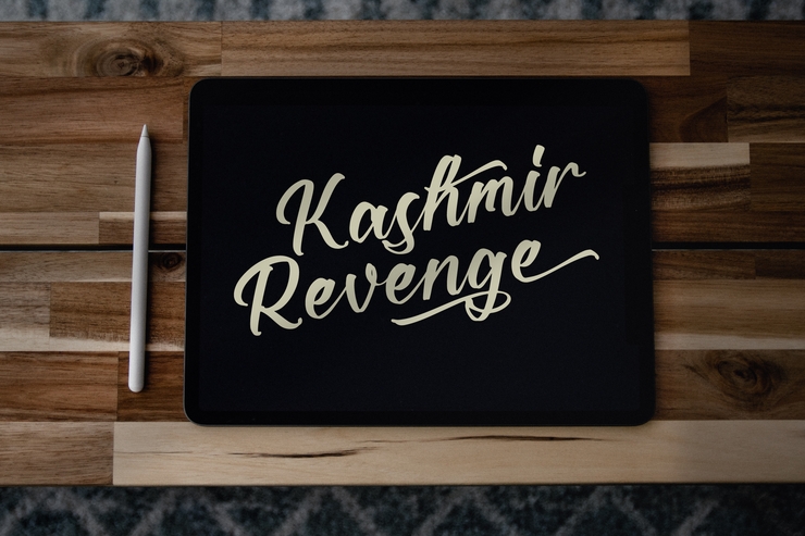 Kashmir Revenge 9