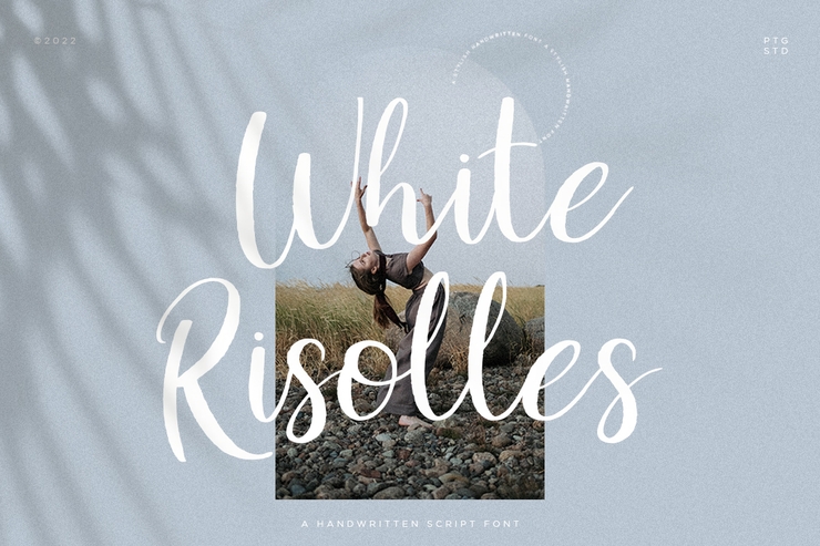 White risolles字体 1