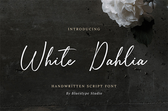 White dahlia字体 1