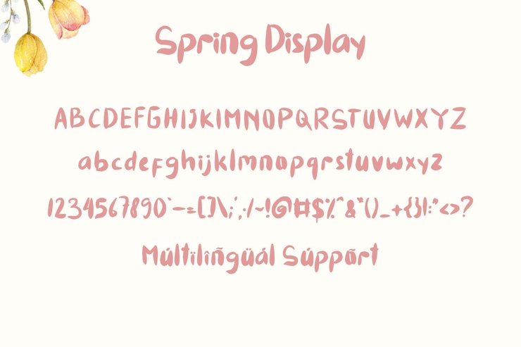 Spring display字体 6