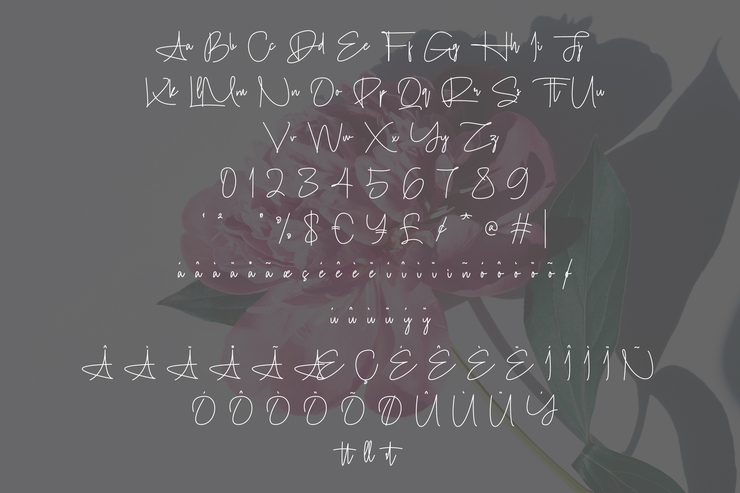 Lomenthosy slant字体 3