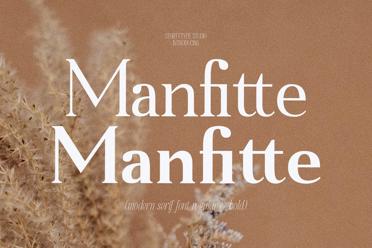 Manfitte字体 1