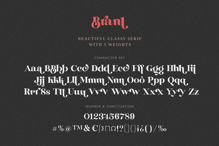 Brant serif字体 8