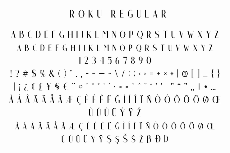 Roku字体 4