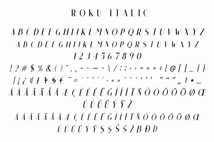 Roku字体 5