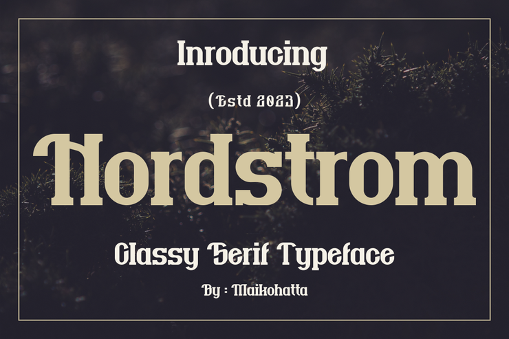 Nordstrom字体 1