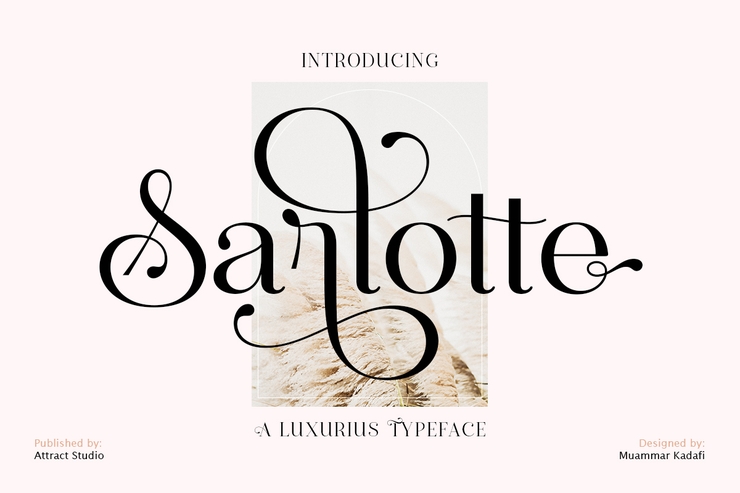 Sarlotte字体 1