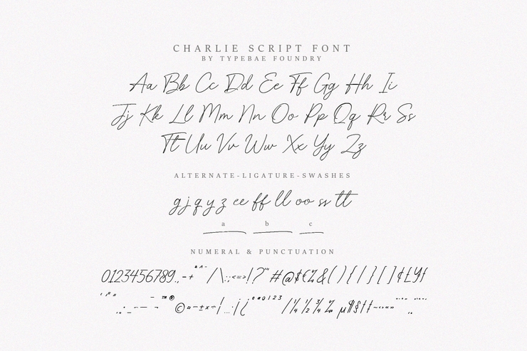 Charlie script字体 7
