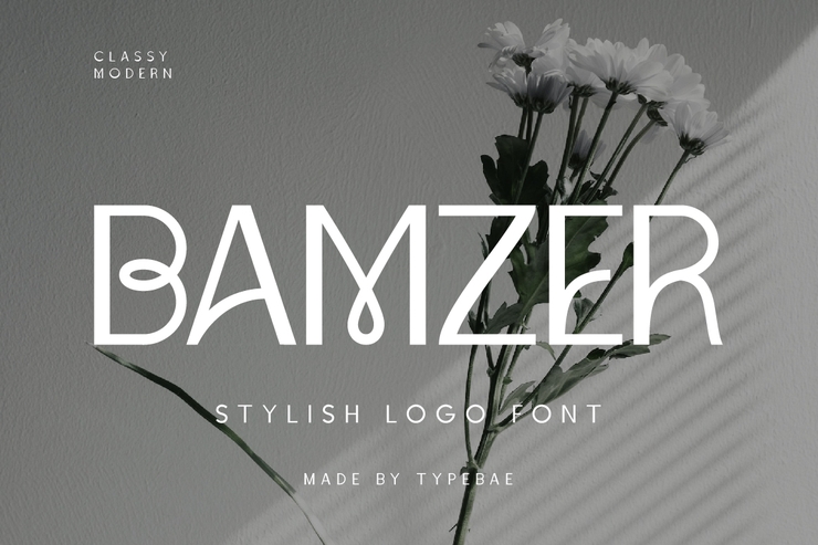 Bamzer字体 1