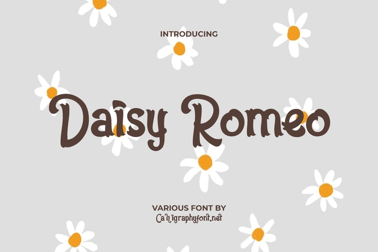 Daisy romeo字体 1