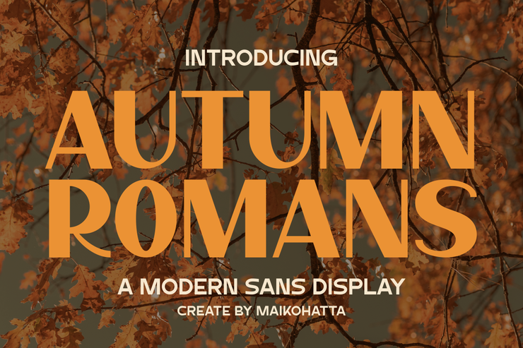 Autumn romans字体 2