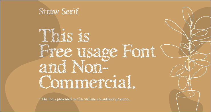 Straw serif字体 3