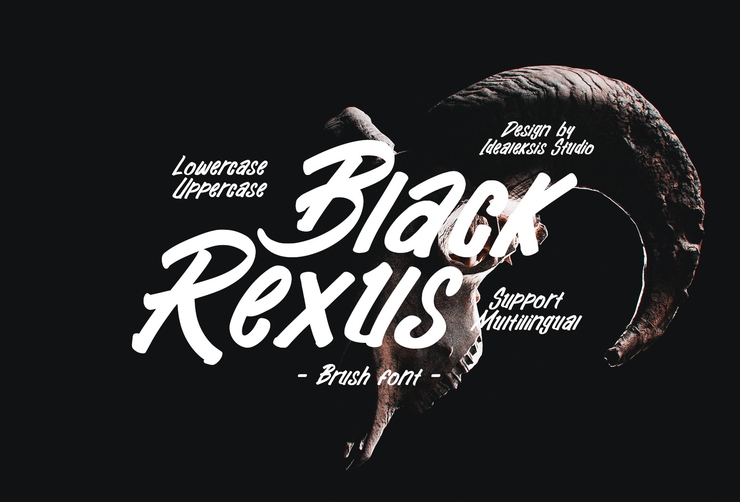 Black rexus字体 1