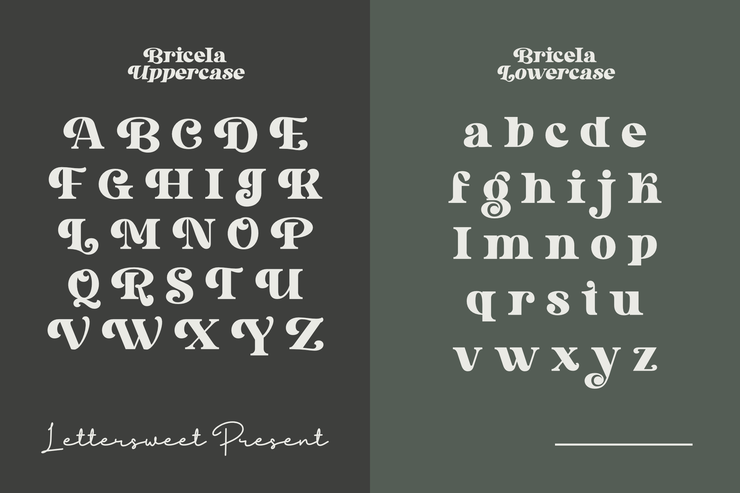 Bricela字体 2