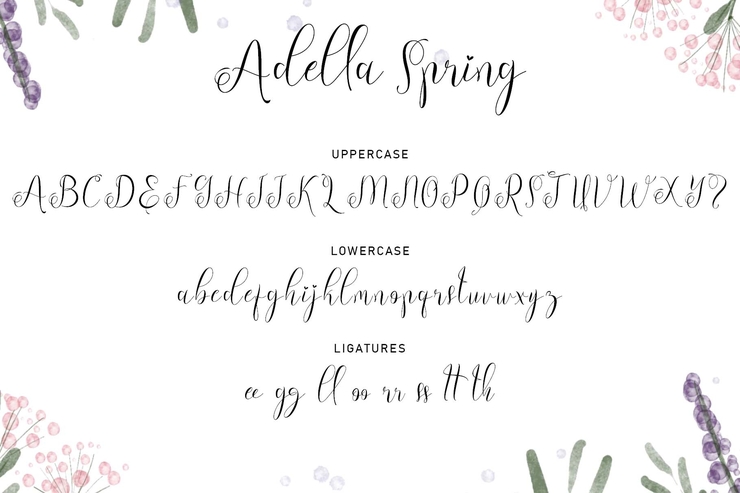 Adella spring字体 4