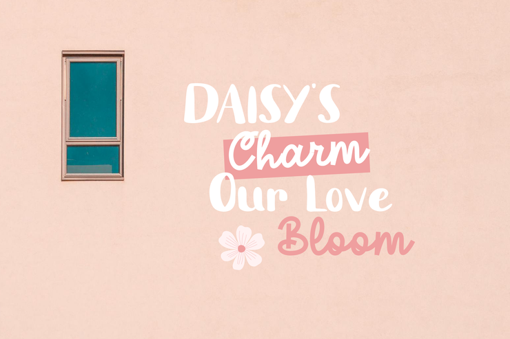 Daisy delight字体 4