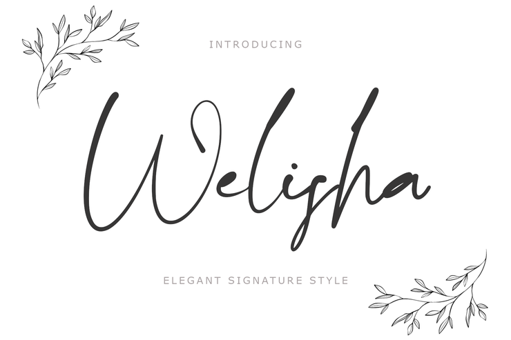 Welisha字体 1