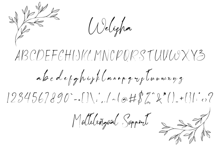 Welisha字体 5