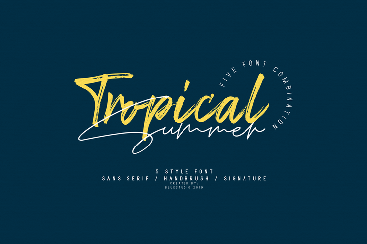 Tropical Summer Signature字体 4