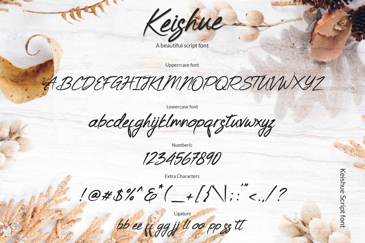 Keishue字体 10