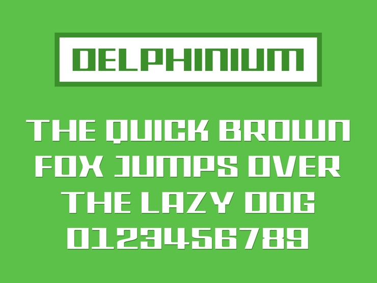 Delphinium字体 1