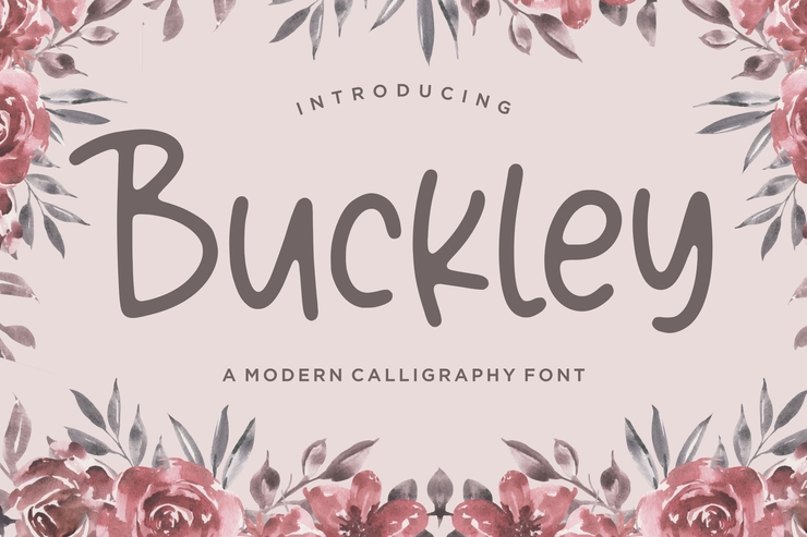 Buckley字体 1