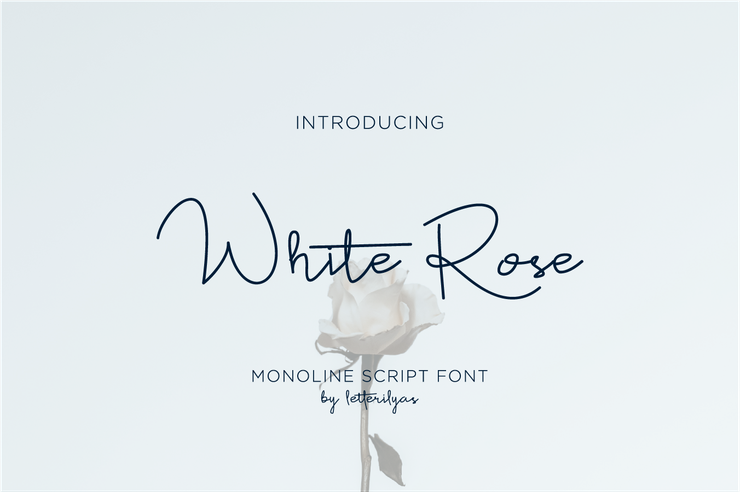 White Rose字体 2