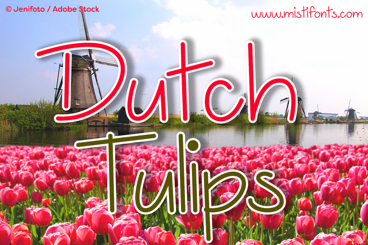 Dutch Tulips字体 1