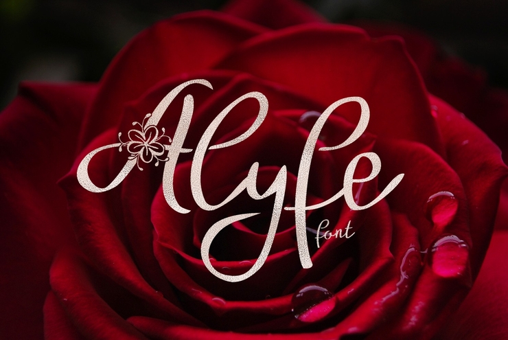 Alyfe字体 3