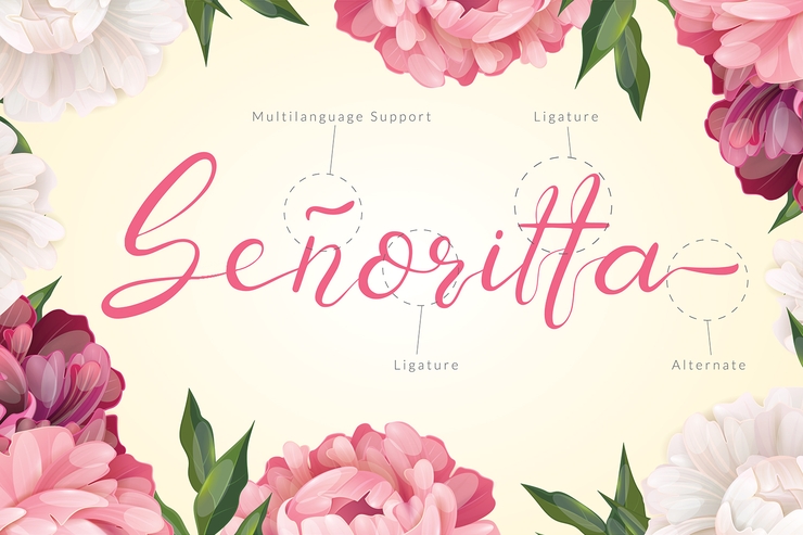Senoritta - Beautiful Script字体 3